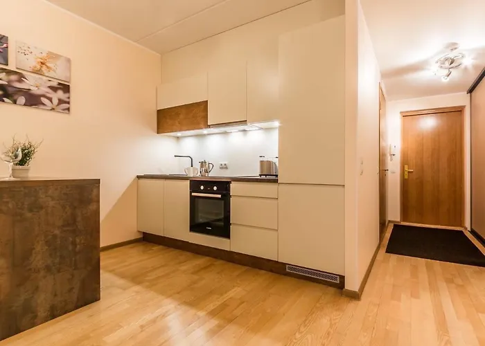 Rotermanni Apartment, Large Terrace Apartment Reval